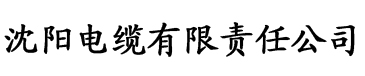 大香蕉在线播放网站电缆厂logo